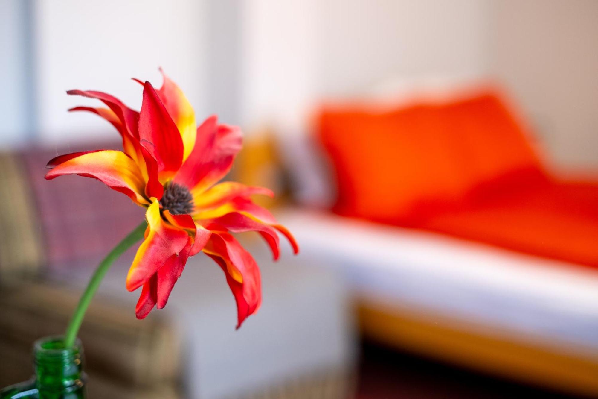 Guesthouse Rose SJJ Eksteriør billede
